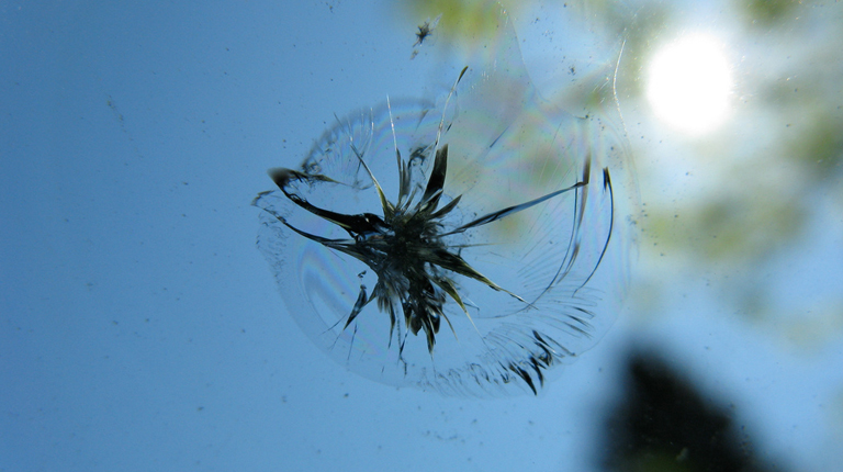 Glass Chip Repair